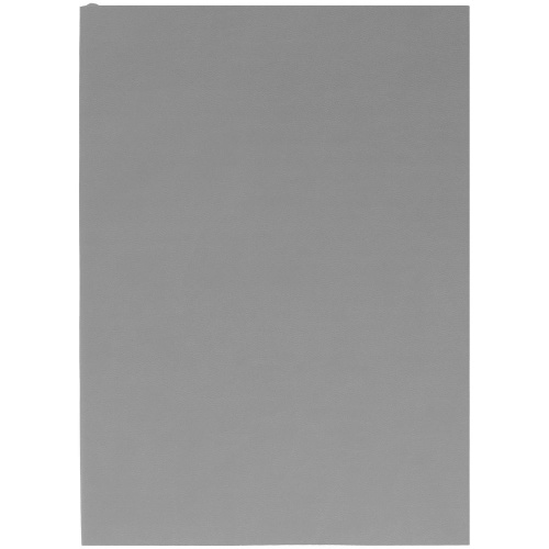 Ежедневник Flat, недатированный, серый фото 2