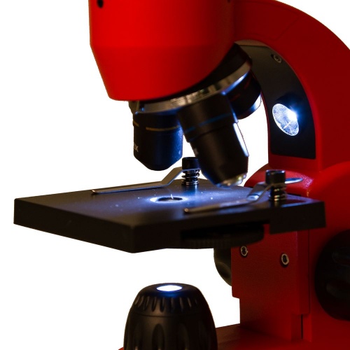 Монокулярный микроскоп Rainbow 50L с набором для опытов, красный фото 6