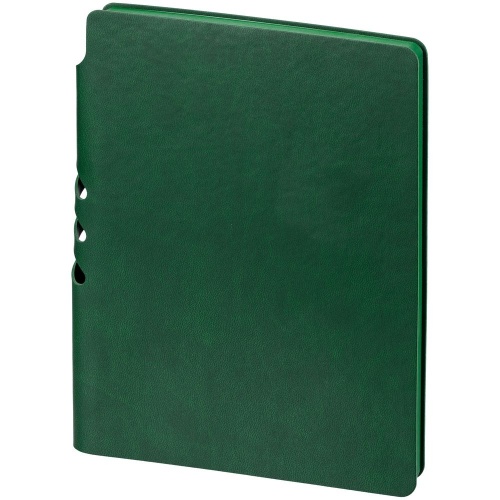 Ежедневник Flexpen Color, датированный, зеленый фото 2