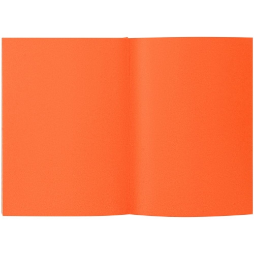 Ежедневник Flat Maxi, недатированный, оранжевый фото 3