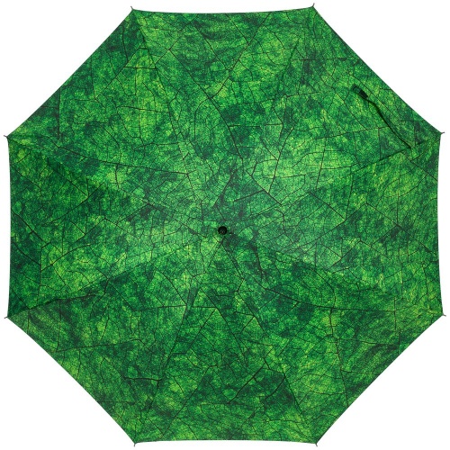Зонт-трость Evergreen фото 2