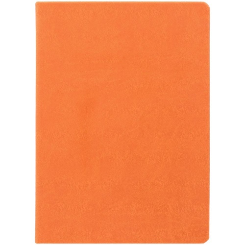 Ежедневник Basis, датированный, оранжевый фото 2