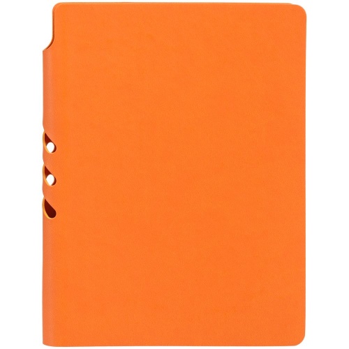 Ежедневник Flexpen Color, датированный, оранжевый фото 4