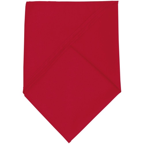 Шейный платок Bandana, красный фото 2