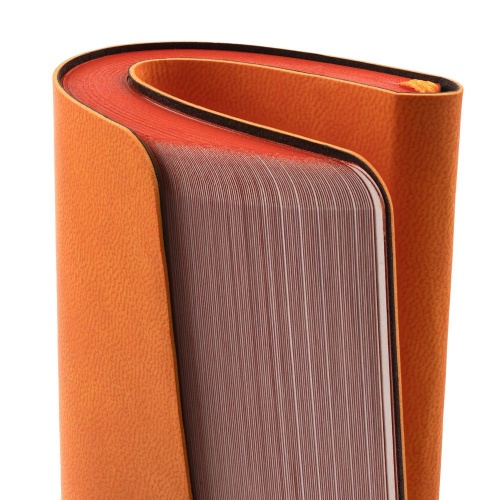 Ежедневник Neat Mini, недатированный, оранжевый фото 5