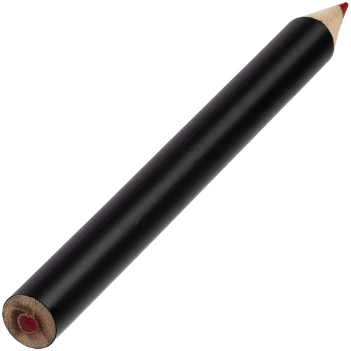 Набор цветных карандашей Pencilvania Tube Plus, черный фото 3