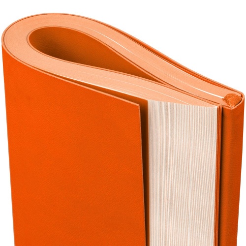 Ежедневник Flat Maxi, недатированный, оранжевый фото 6