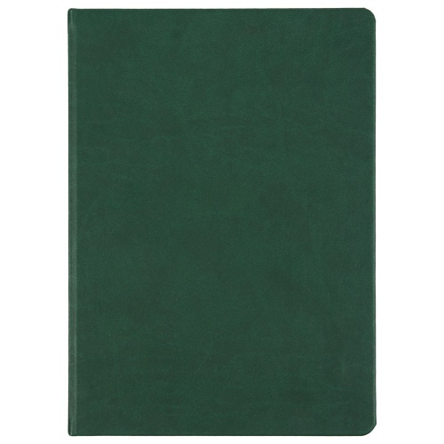 Ежедневник Basis, датированный, зеленый фото 2