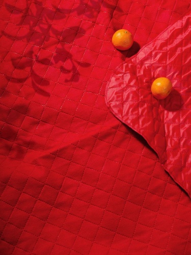 Плед для пикника Soft & Dry, темно-красный фото 6