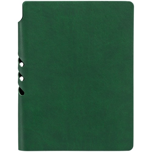 Ежедневник Flexpen Color, датированный, зеленый фото 3